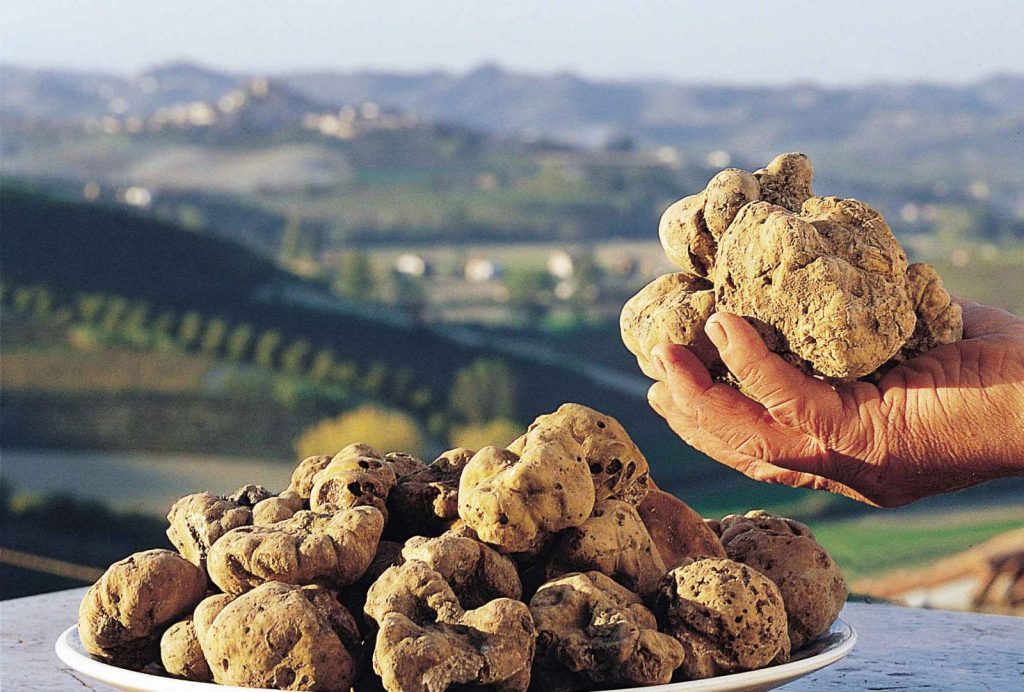 tartufo toscano